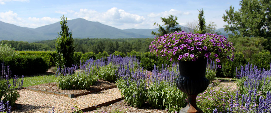 The Virginia Claytor Memorial Gardens with the Blue Ridge Mountains in the background