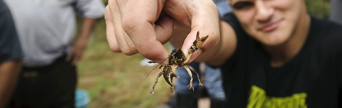 A student holds up a small crab