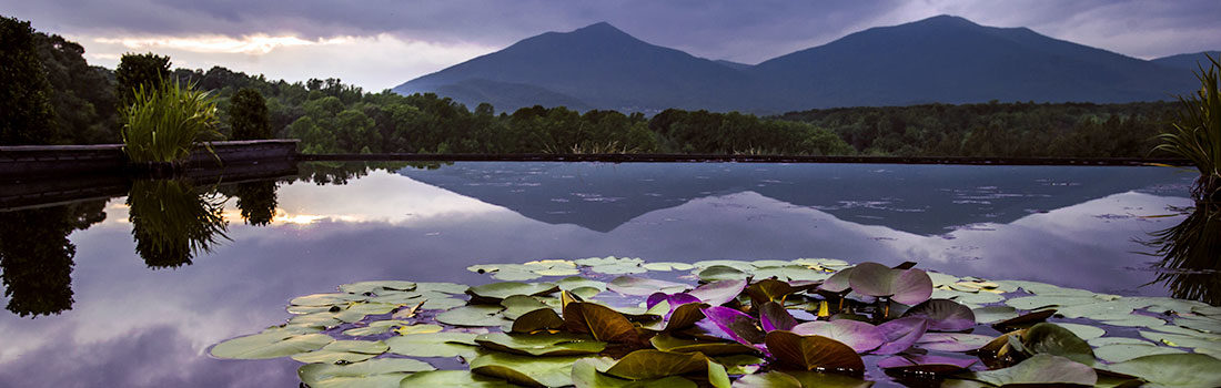 A reflecting pool with lily pads and mountains in the background