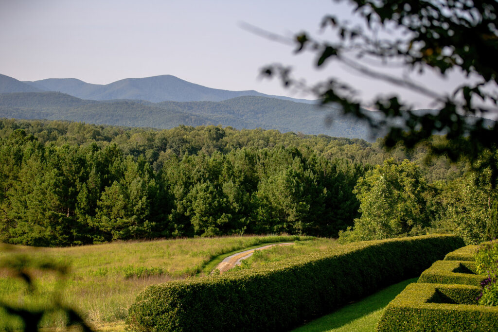 RS66836_CGP_1308-lpr