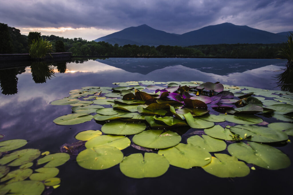 Claytor Nature Study Center "Secret Garden Party"