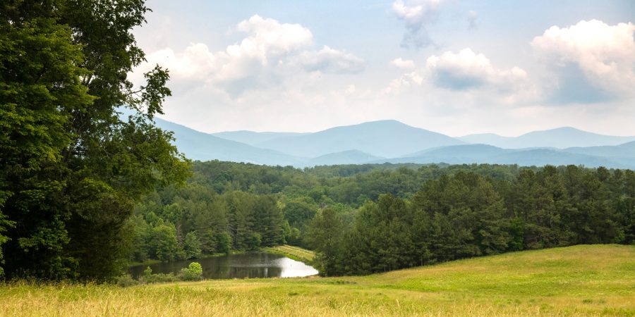 RS59668_20230607-5011-lpr